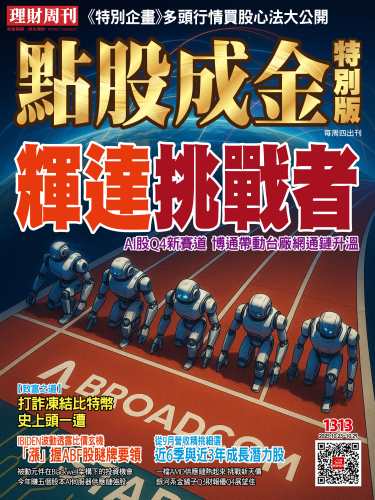 第1313期 點股成金